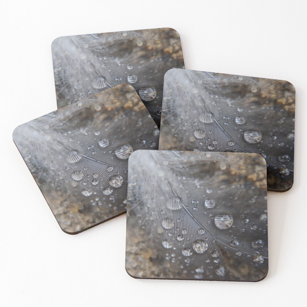 Item preview, Coasters (Set of 4) designed and sold by RewskiPhotos.