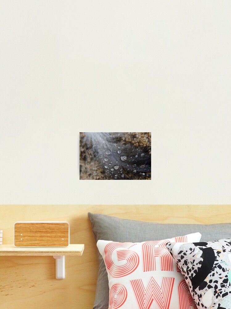 Thumbnail 2 of 3, Photographic Print, Flock Together designed and sold by RewskiPhotos.