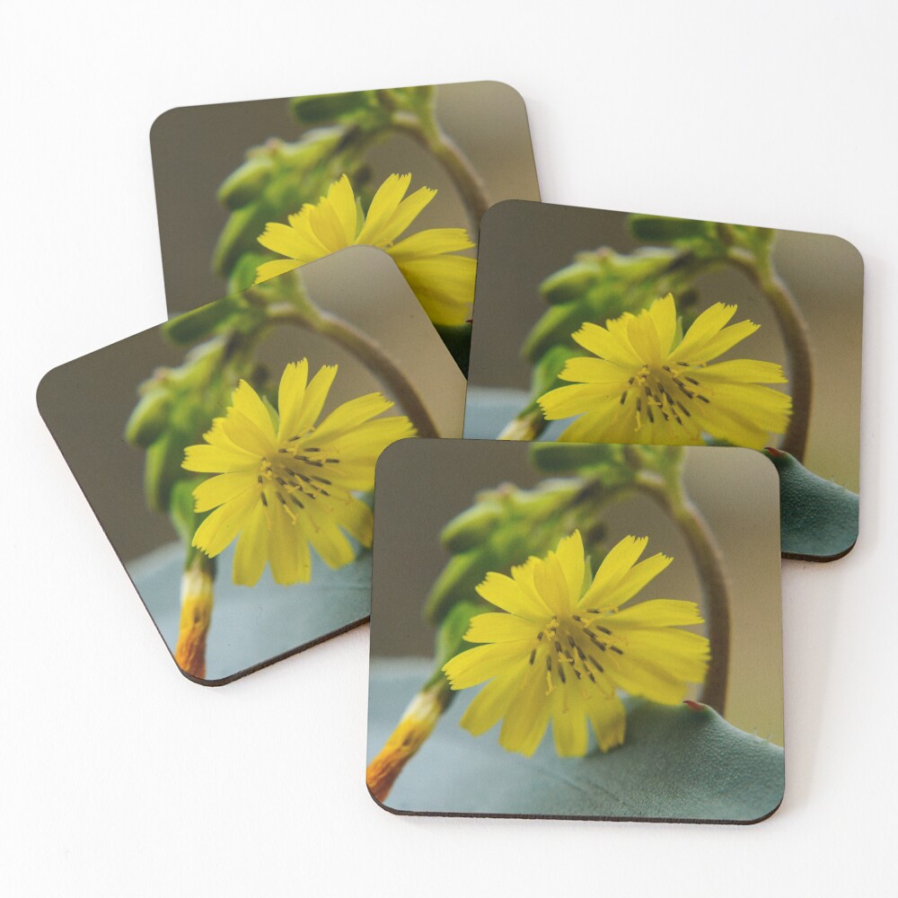 Item preview, Coasters (Set of 4) designed and sold by RewskiPhotos.