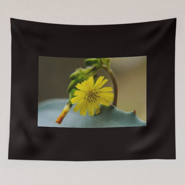 Item preview, Dandy Lying designed and sold by RewskiPhotos.