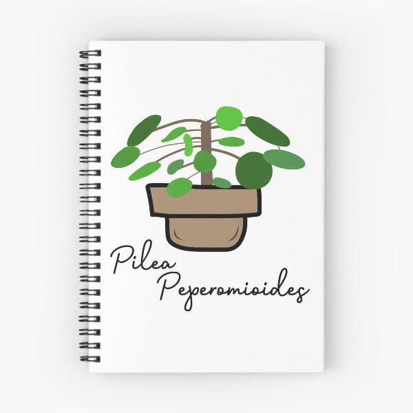 Item preview, Pilea peperomioides/Money Plant designed and sold by byFily.