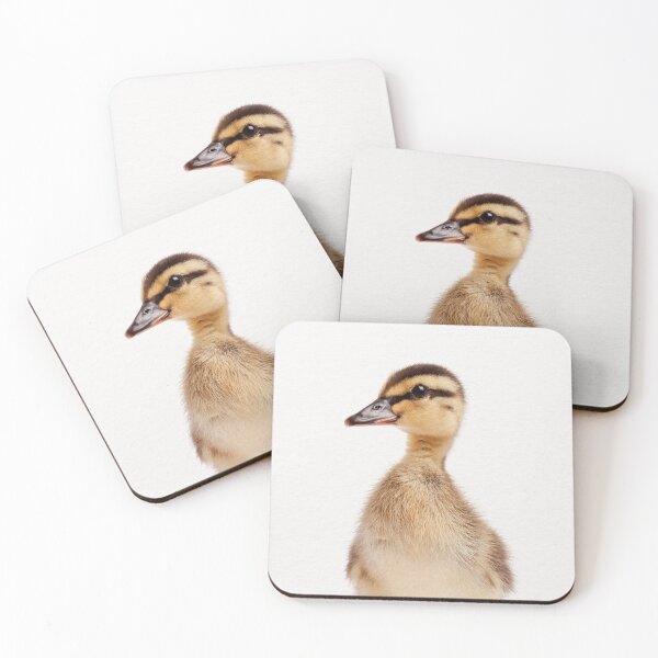 Item preview, Baby Duckling, Baby Animals Art Print by Synplus designed and sold by synplus.