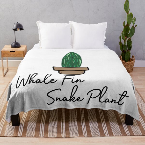 Item preview, whale fin snake plant designed and sold by byFily.