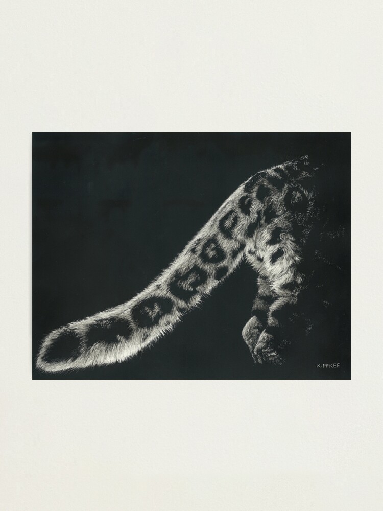 Alternate view of Snow Leopard Tail Photographic Print