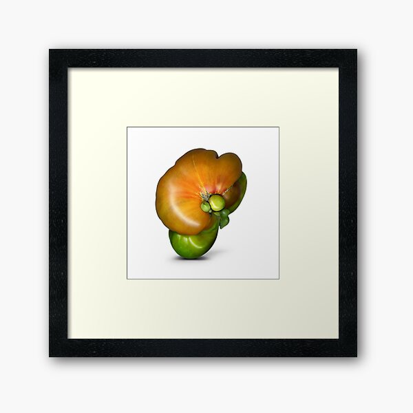 Two-headed tomato attempting self-containment. Framed Art Print