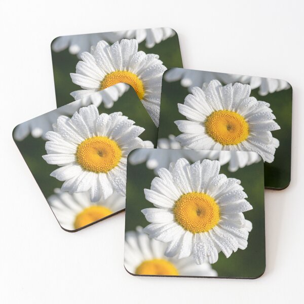 Item preview, Daisy bbb designed and sold by Lorena2702.