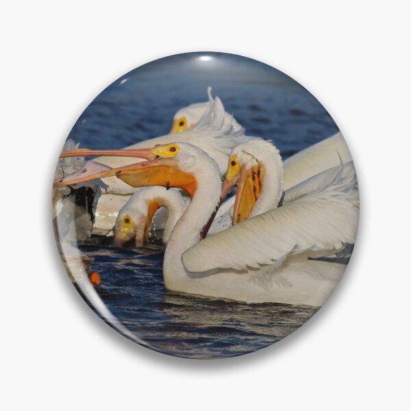 Item preview, Orchestral Percussion designed and sold by Michiale.