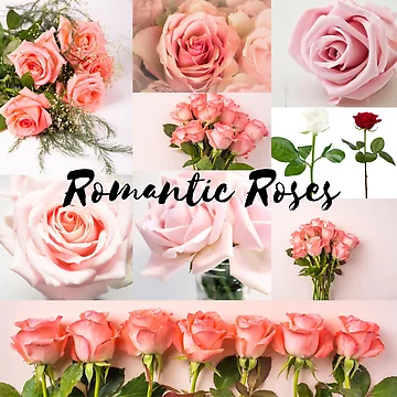 Artwork thumbnail, Romantic Roses by MyLifeMatters20