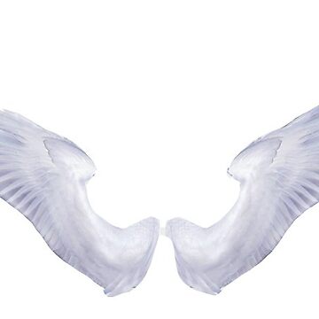 Artwork thumbnail, Angel wings  by racer0220
