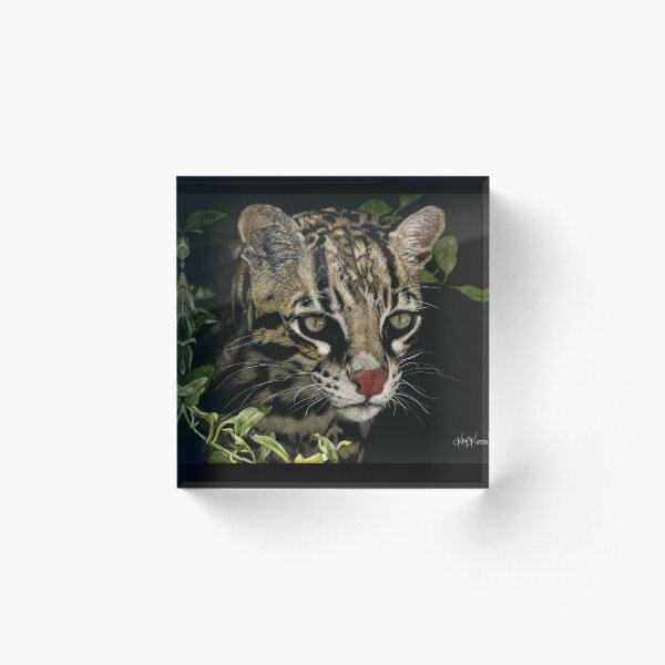 A Hunter's Focus Acrylic Block