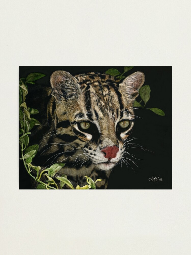 Alternate view of A Hunter's Focus Photographic Print