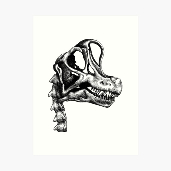 Brachiosaurus Skeleton Art Prints | Redbubble