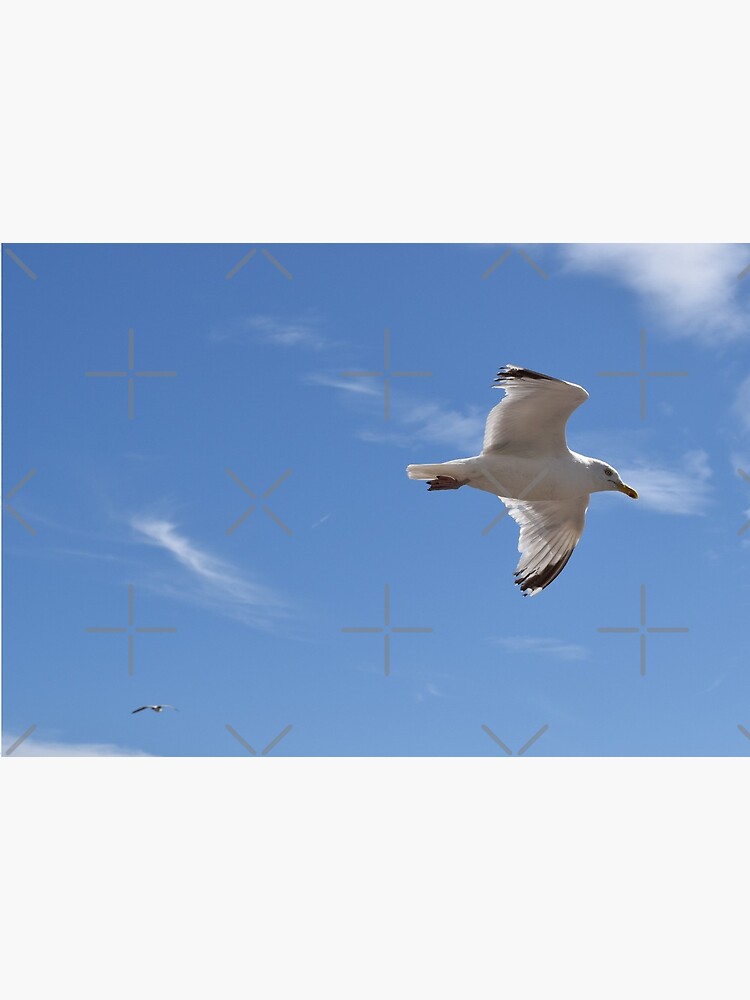 Thumbnail 5 of 5, Mask, Seagull over Brighton Beach designed and sold by TLBcanvasART.