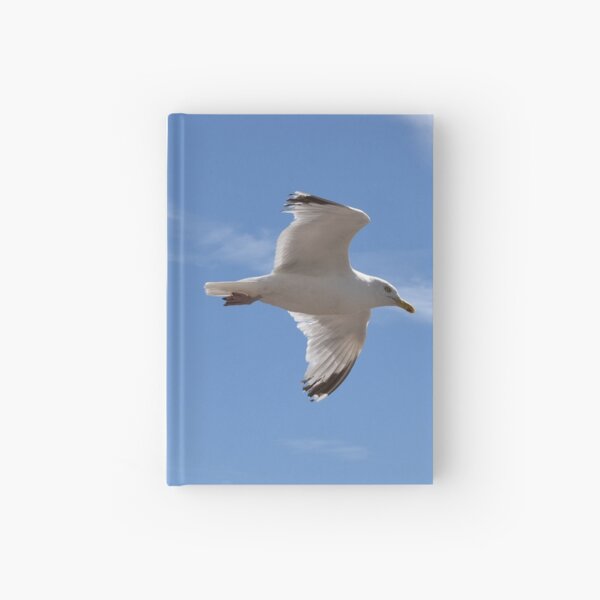 Seagull over Brighton Beach Hardcover Journal