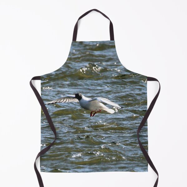 Item preview, Bonaparte Gull One designed and sold by Susie Kramer.