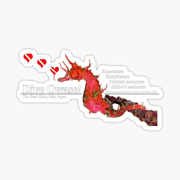 Lovely Seahorse print Sticker