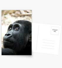 Melancholic Postcards