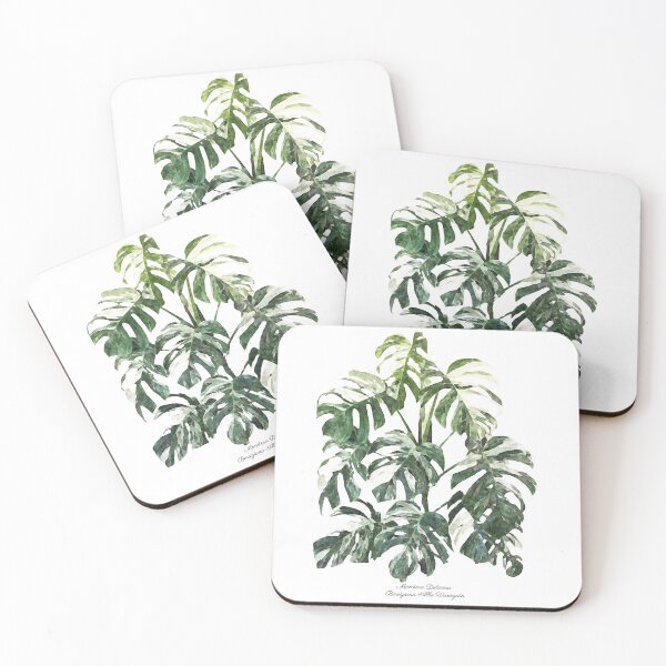 Item preview, Monstera Deliciosa Borsigiana Albo Variegata designed and sold by The Chookies.