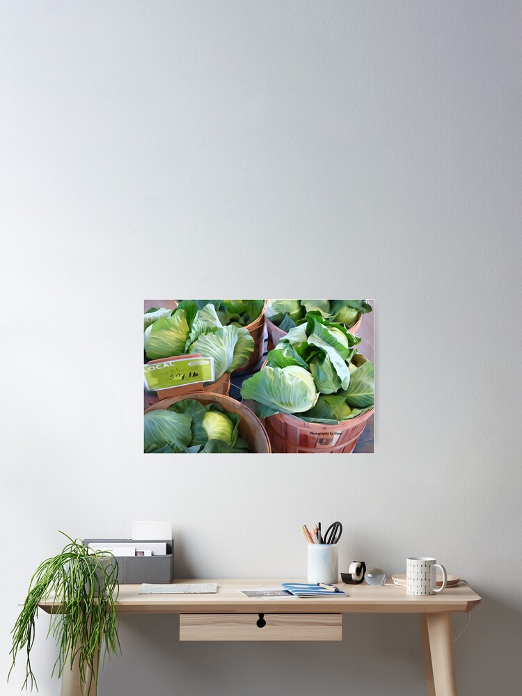 Thumbnail 2 of 3, Poster, 'Cabbage' designed and sold by GaryCole.