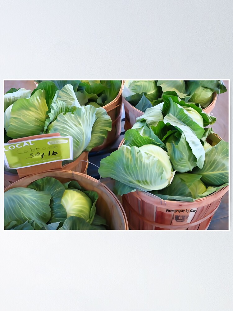 Thumbnail 1 of 3, Poster, 'Cabbage' designed and sold by GaryCole.