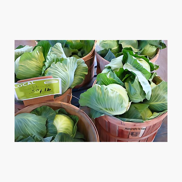 Item preview, 'Cabbage' designed and sold by GaryCole.