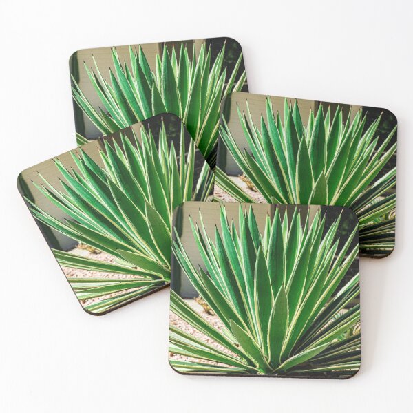 Item preview, Desert Agave designed and sold by taylorlegrand.
