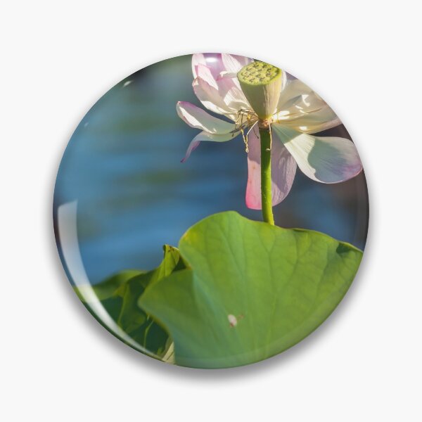 Item preview, Succeed  designed and sold by jvnimages.