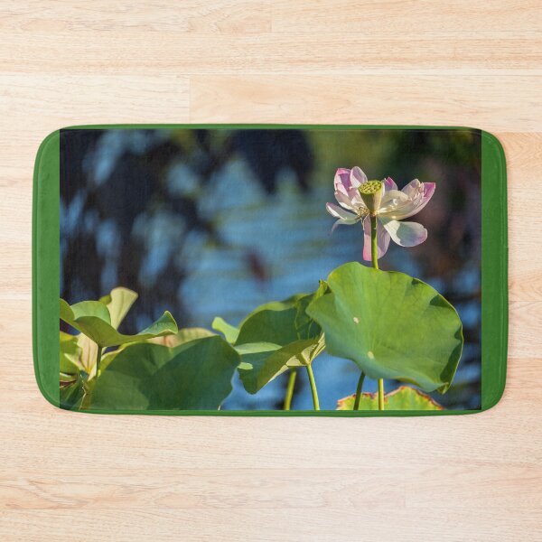 Item preview, Succeed  designed and sold by jvnimages.