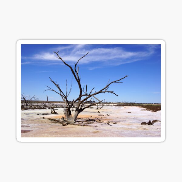 Item preview, Dry Salt Pan and Dead Tree - Photography by Avril Thomas designed and sold by AvrilThomasart.