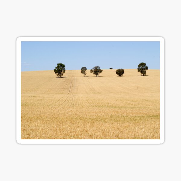 Item preview, Wheat Field by Avril Thomas photography - South Australian Artist designed and sold by AvrilThomasart.