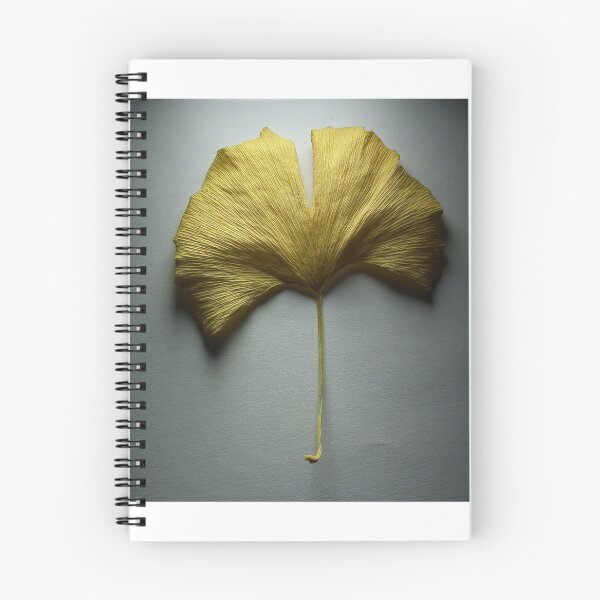 Item preview, Dried Ginko Leaf designed and sold by TLBcanvasART.