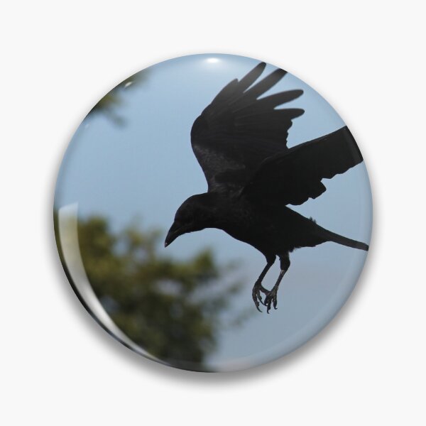 Item preview, Corvus.... sky dancing designed and sold by RichImage.