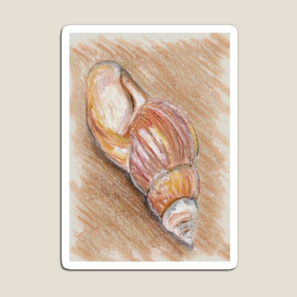 Summer Seashell Magnet