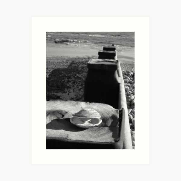 Bexhill, Empty Shell Art Print