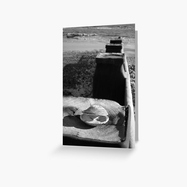 Bexhill, Empty Shell Greeting Card