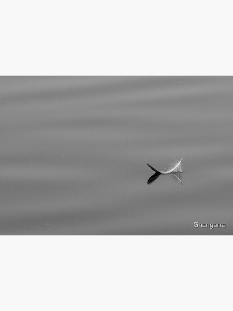feather by Gnangarra
