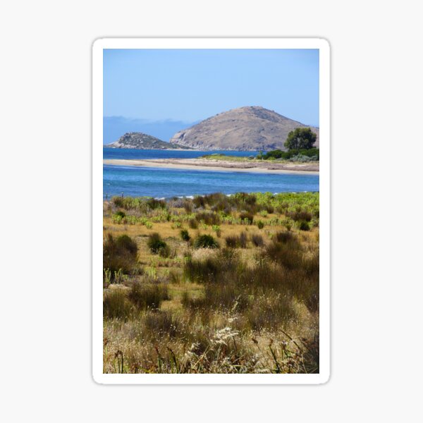 Item preview, The Bluff - Victor Harbor - South Australia by Avril Thomas designed and sold by AvrilThomasart.