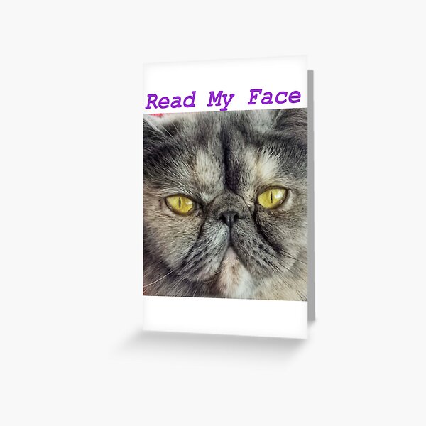 Grey Grumpy Cat Greeting Card