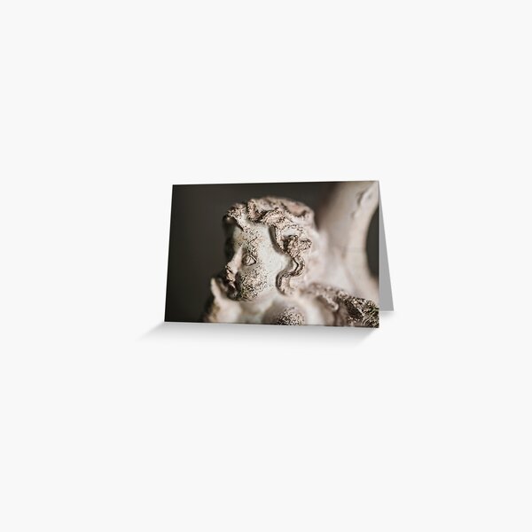 Angel Greeting Card