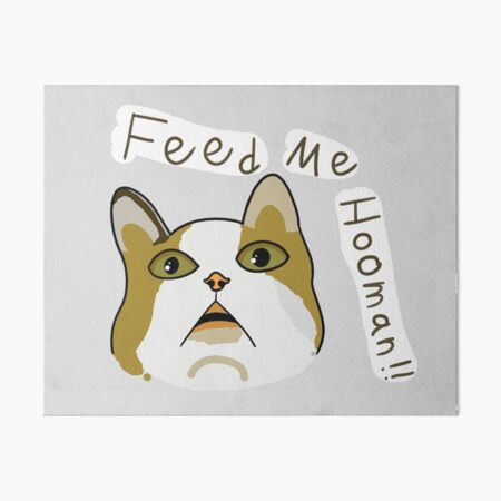 Feed Me Hooman!! Art Board Print