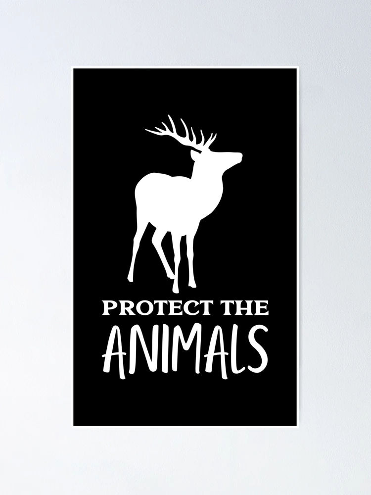 Sweet Protection  White Elk Agency