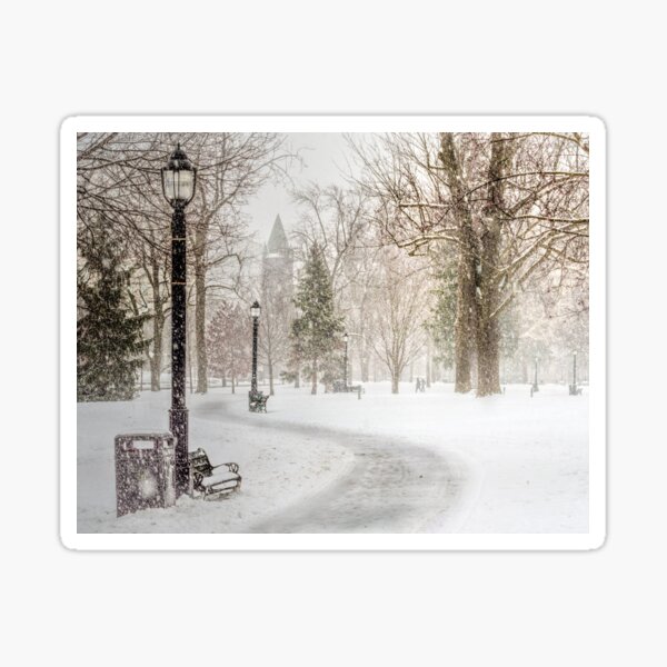 Victoria Park Sticker