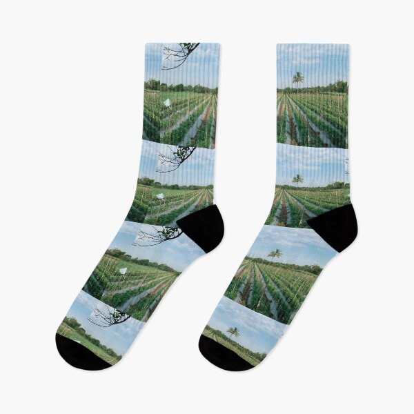Item preview, Morning Farm designed and sold by Vikas Sawant.
