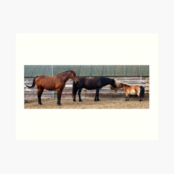 Small Medium and Large Art Print