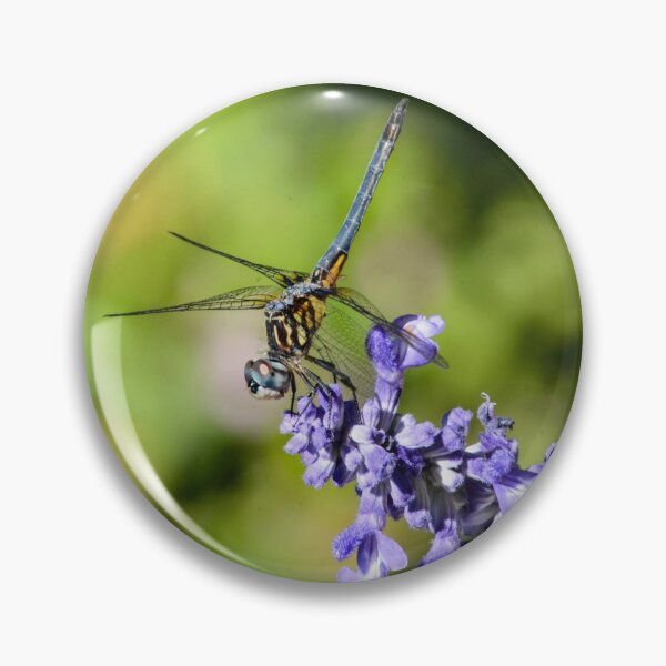 Item preview, Dragon Wings and Purple Things designed and sold by RewskiPhotos.