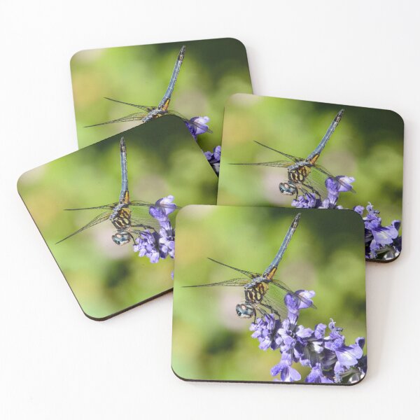 Item preview, Dragon Wings and Purple Things designed and sold by RewskiPhotos.