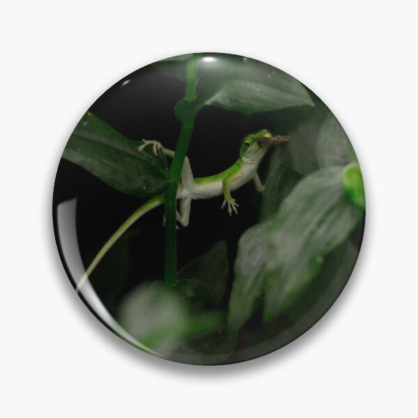 Item preview, Lounging Lunching Lizard designed and sold by RewskiPhotos.