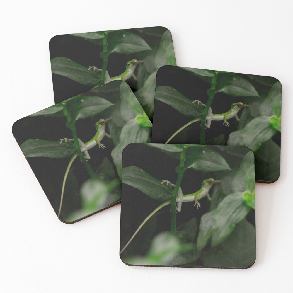 Item preview, Coasters (Set of 4) designed and sold by RewskiPhotos.