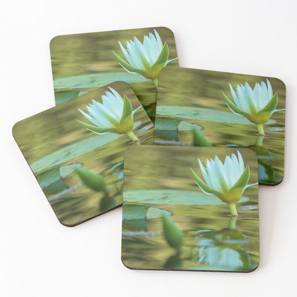 Item preview, white blossom designed and sold by jvnimages.