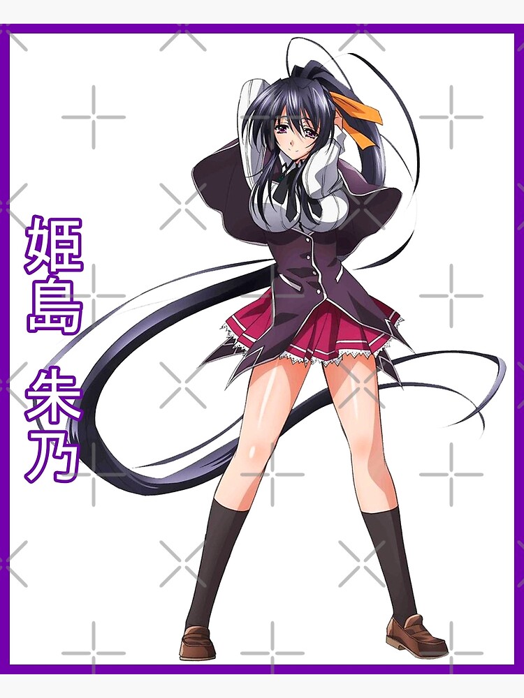"Akeno Himejima" Poster for Sale by rubster21 Redbubble